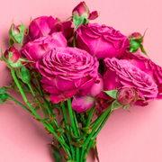 Ready To Go Wholesale Centerpieces Card