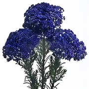 Ready To Go Wholesale Centerpieces Card