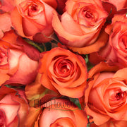 Ready To Go Wholesale Centerpieces Card