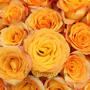 Ready To Go Wholesale Centerpieces Card