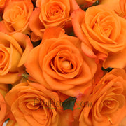 Ready To Go Wholesale Centerpieces Card