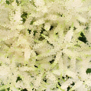 Ready To Go Wholesale Centerpieces Card