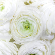 Ready To Go Wholesale Centerpieces Card