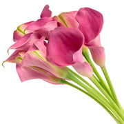 Ready To Go Wholesale Centerpieces Card
