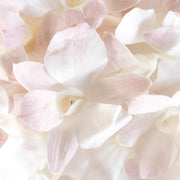 Ready To Go Wholesale Centerpieces Card