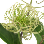 Ready To Go Wholesale Centerpieces Card