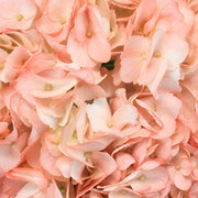 Ready To Go Wholesale Centerpieces Card