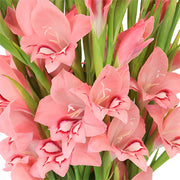 Ready To Go Wholesale Centerpieces Card