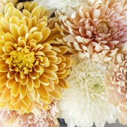 Ready To Go Wholesale Centerpieces Card
