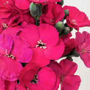 Ready To Go Wholesale Centerpieces Card