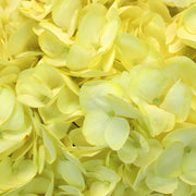 Ready To Go Wholesale Centerpieces Card