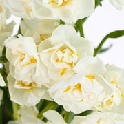 Ready To Go Wholesale Centerpieces Card