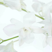 Ready To Go Wholesale Centerpieces Card