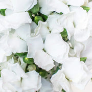 Ready To Go Wholesale Centerpieces Card