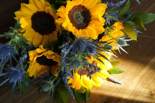 Sunny Sunflower Days