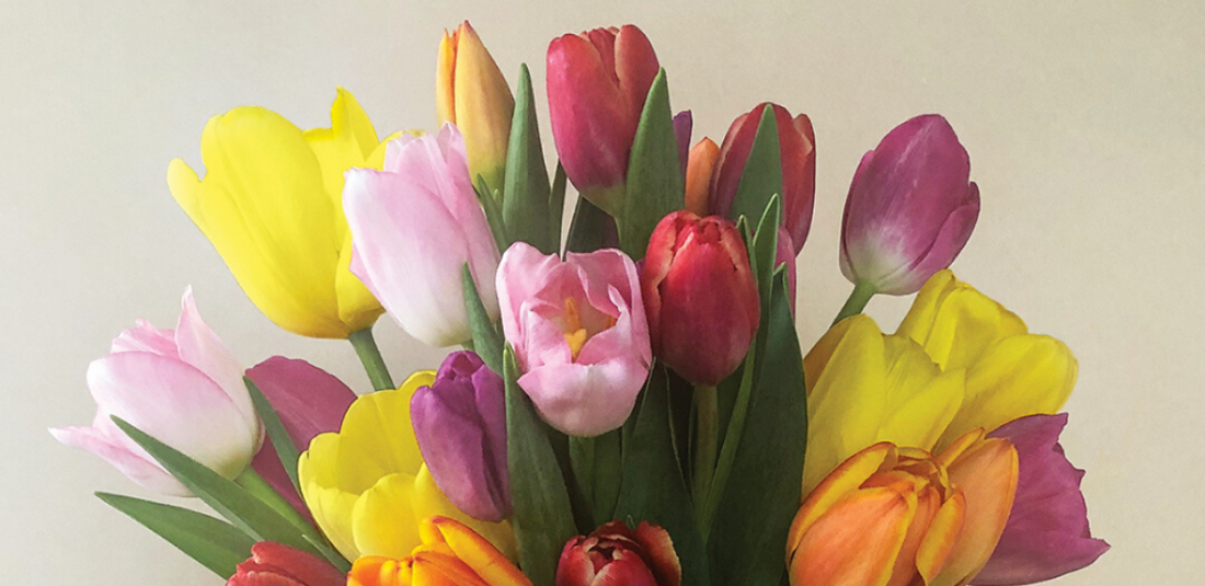 Colorful tulips, a popular choice for Mother's Day flowers
