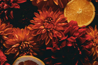 red and orange dahlias with citrus slices