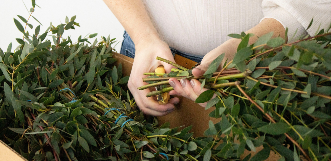 Girl trimming flower stems as part of our how to keep flowers fresh tutorial