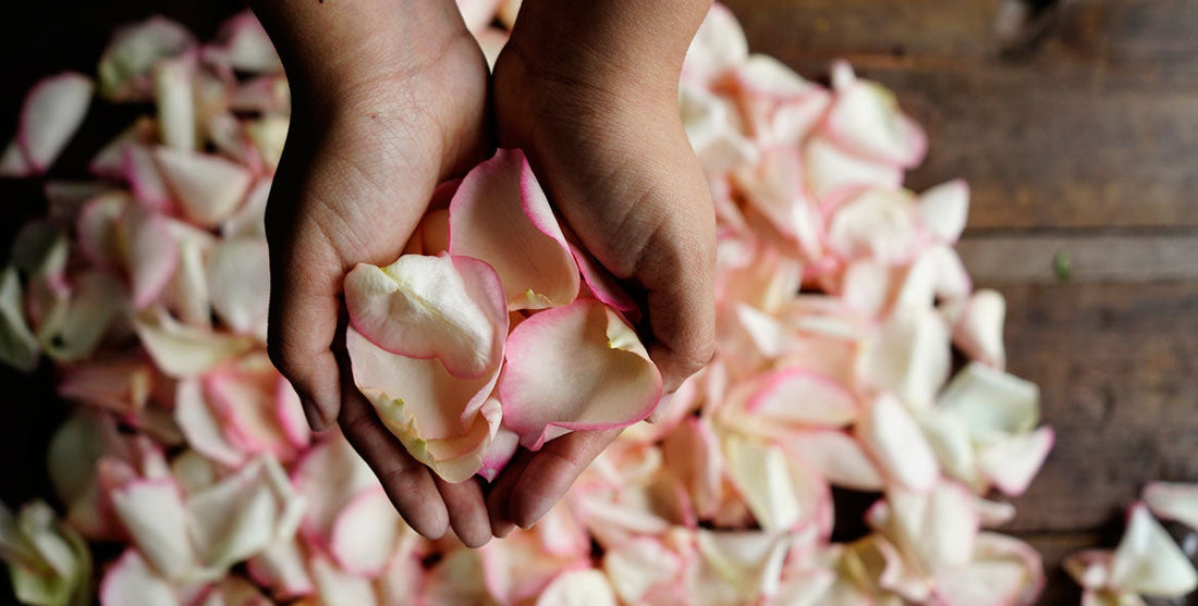 Drying rose petals