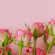 Ready To Go Wholesale Centerpieces Card