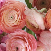 Ready To Go Wholesale Centerpieces Card