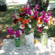 Ready To Go Wholesale Centerpieces Card