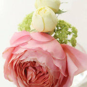 Ready To Go Wholesale Centerpieces Card