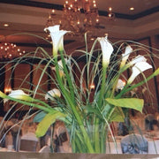 Ready To Go Wholesale Centerpieces Card