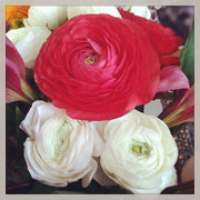 Ready To Go Wholesale Centerpieces Card