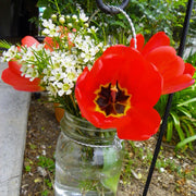 Ready To Go Wholesale Centerpieces Card