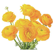 Ready To Go Wholesale Centerpieces Card