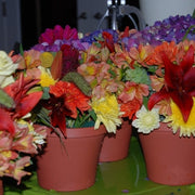 Ready To Go Wholesale Centerpieces Card