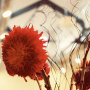 Ready To Go Wholesale Centerpieces Card