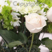 Ready To Go Wholesale Centerpieces Card
