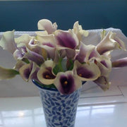 Ready To Go Wholesale Centerpieces Card