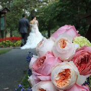 Ready To Go Wholesale Centerpieces Card