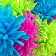 Ready To Go Wholesale Centerpieces Card