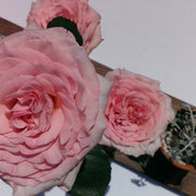 Ready To Go Wholesale Centerpieces Card