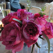 Ready To Go Wholesale Centerpieces Card