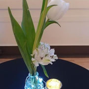 Ready To Go Wholesale Centerpieces Card