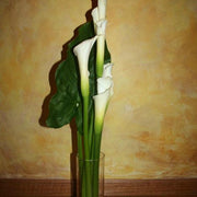 Ready To Go Wholesale Centerpieces Card