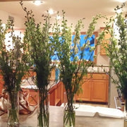 Ready To Go Wholesale Centerpieces Card