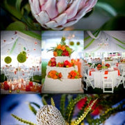 Ready To Go Wholesale Centerpieces Card