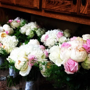 Ready To Go Wholesale Centerpieces Card