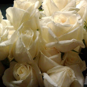 Ready To Go Wholesale Centerpieces Card