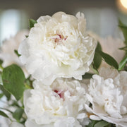 Ready To Go Wholesale Centerpieces Card