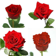 Ready To Go Wholesale Centerpieces Card