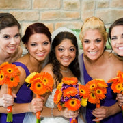 Ready To Go Wholesale Centerpieces Card