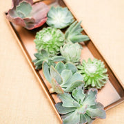 Ready To Go Wholesale Centerpieces Card