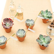 Ready To Go Wholesale Centerpieces Card
